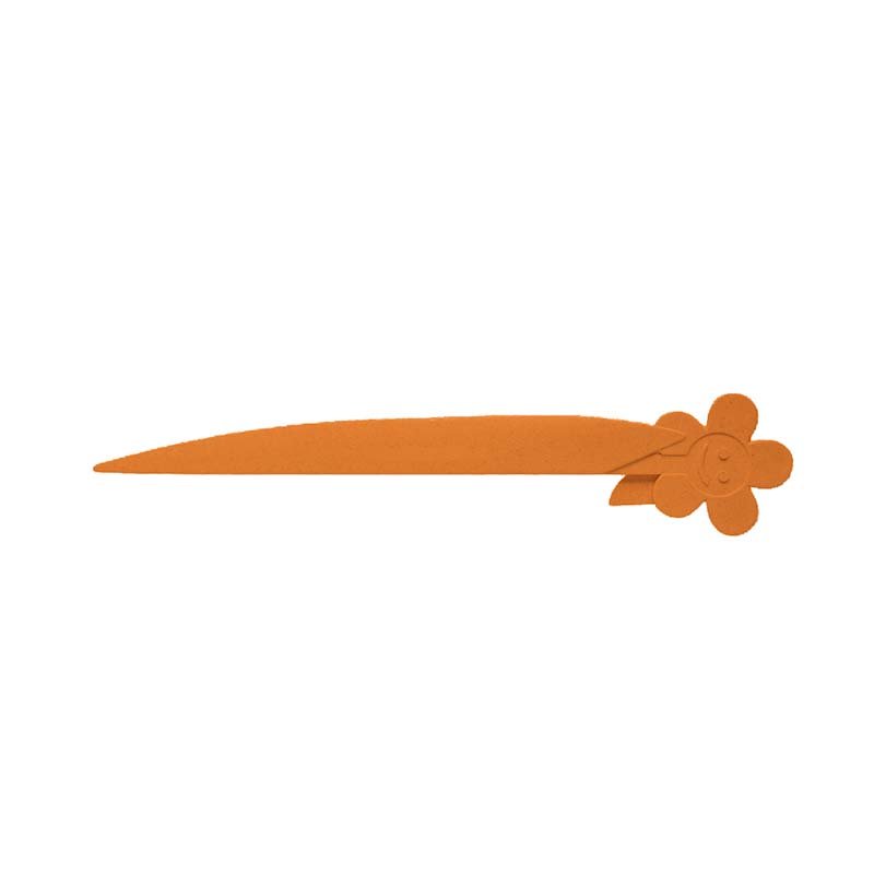 BLUMENGRUSS NATUR, orange
