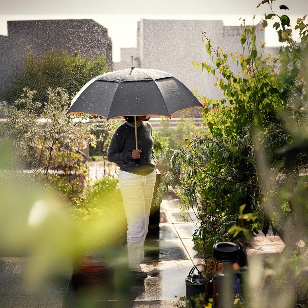 PRISMA Regenschirm
