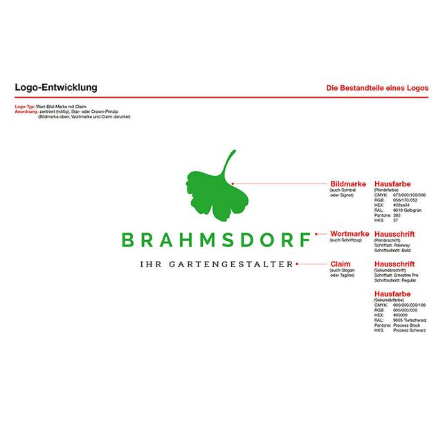 Logoentwicklung ADVANCED