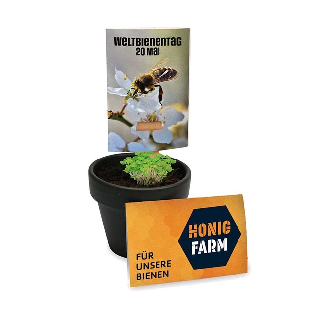 BEE LOVE Pflanzstick