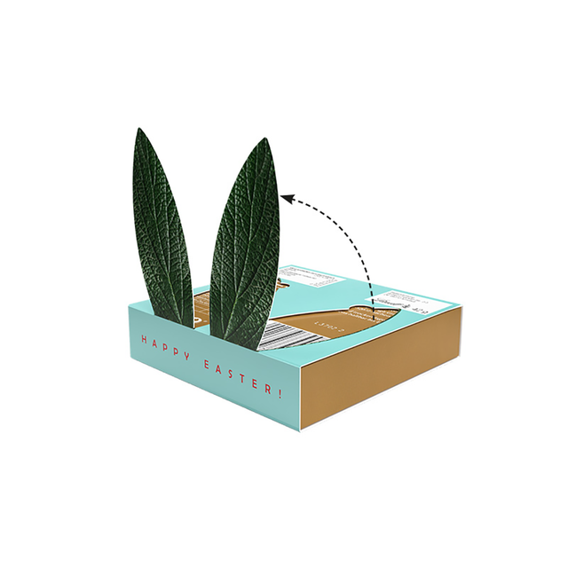 HAAS (Lindt Oster-Set)