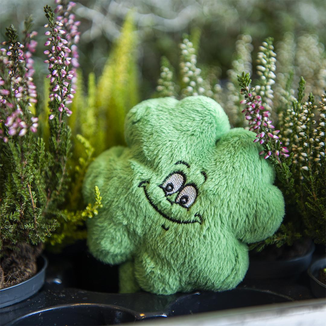 LUCKY Schmoozies® (Displayreiniger)