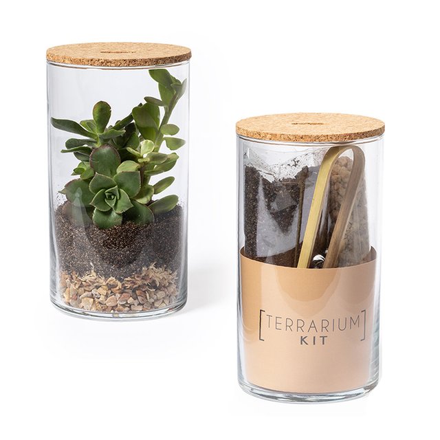 Pflanzglas SUKKULENTE