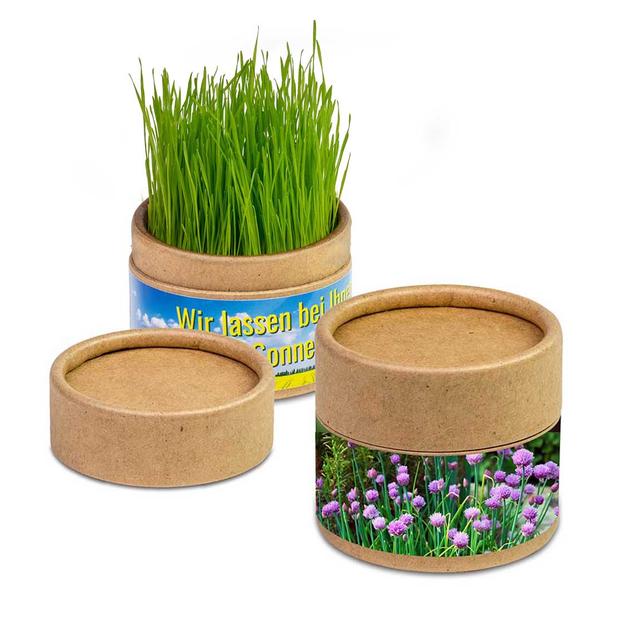 Pflanzschachtel HERBY