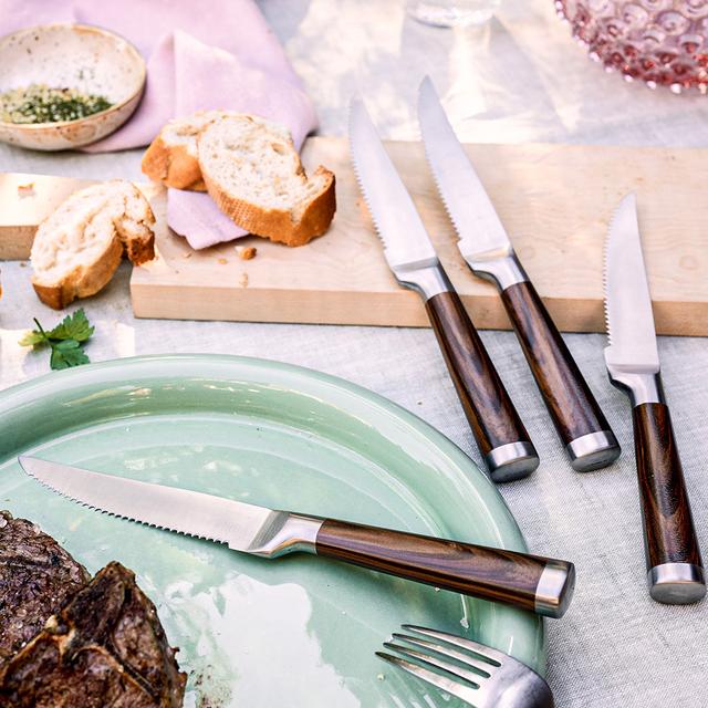 STEAKMASTER (4tlg.-Steakmesser-Set)