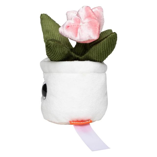 TULIP Schmoozies® (Displayreiniger)