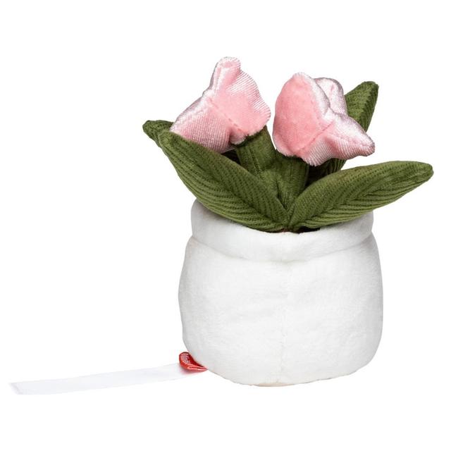 TULIP Schmoozies® (Displayreiniger)