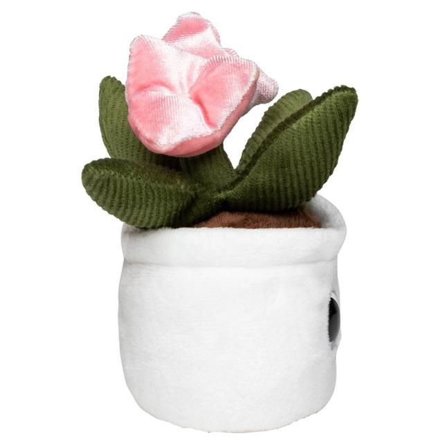 TULIP Schmoozies® (Displayreiniger)