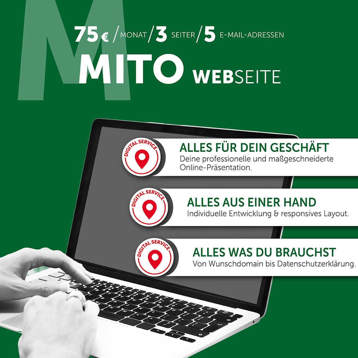 Web Mito: Setup 1.599,- mtl. 75,- 24 Mon